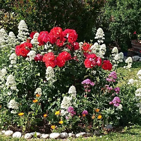 La Campagne A La Holiday home *